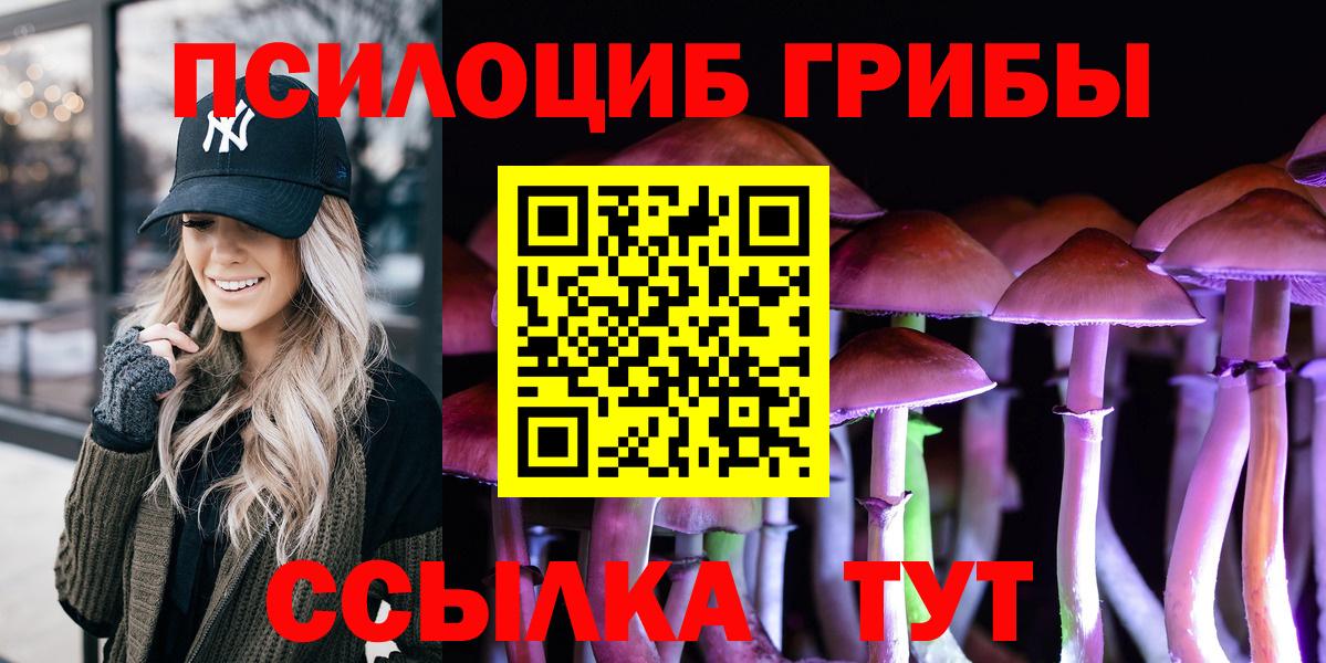 Псилоцибиновые грибы MAGIC MUSHROOMS  Вход с VPN  Кузнецк 